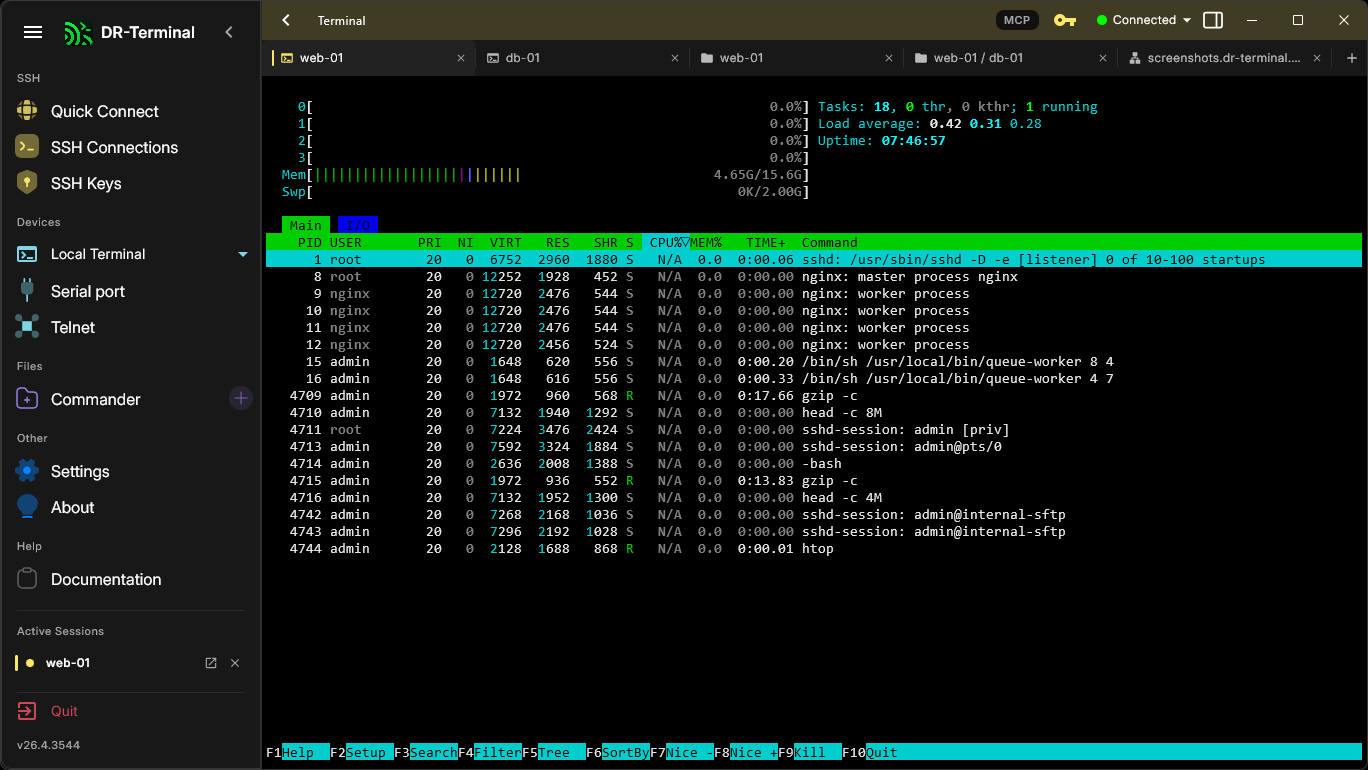 htop over SSH — full terminal